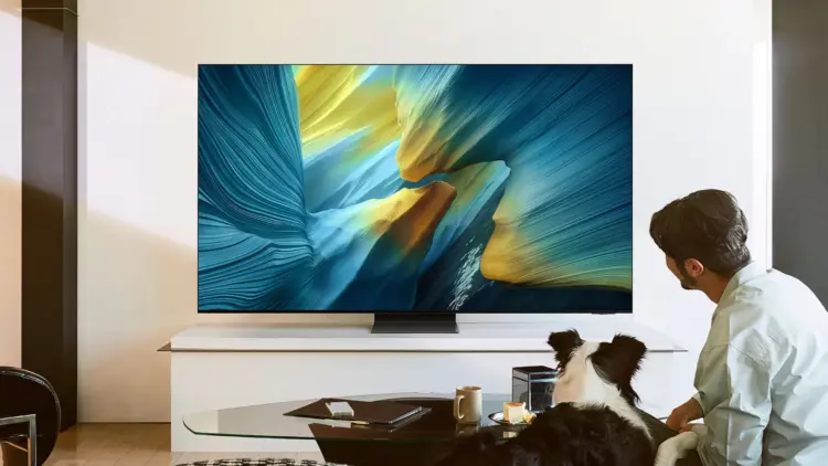 Samsung OLED S95F