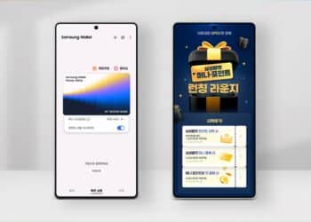 Samsung Wallet Money