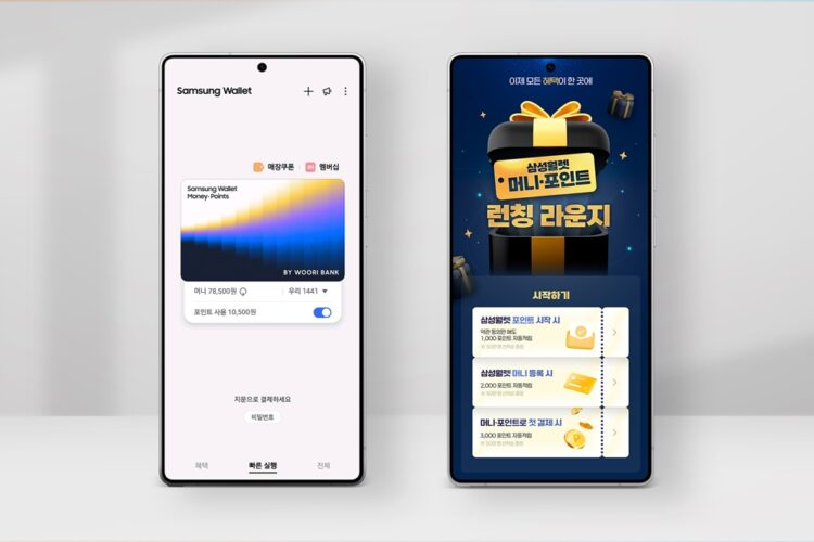 Samsung Wallet Money